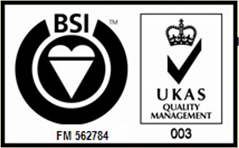 BSI Logo Individual